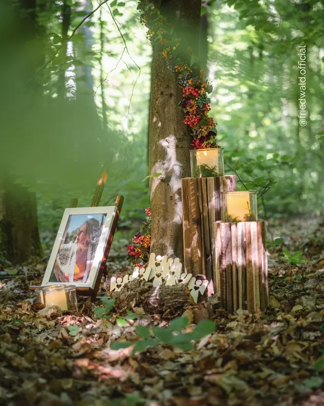 Baumbestattung im FriedWald